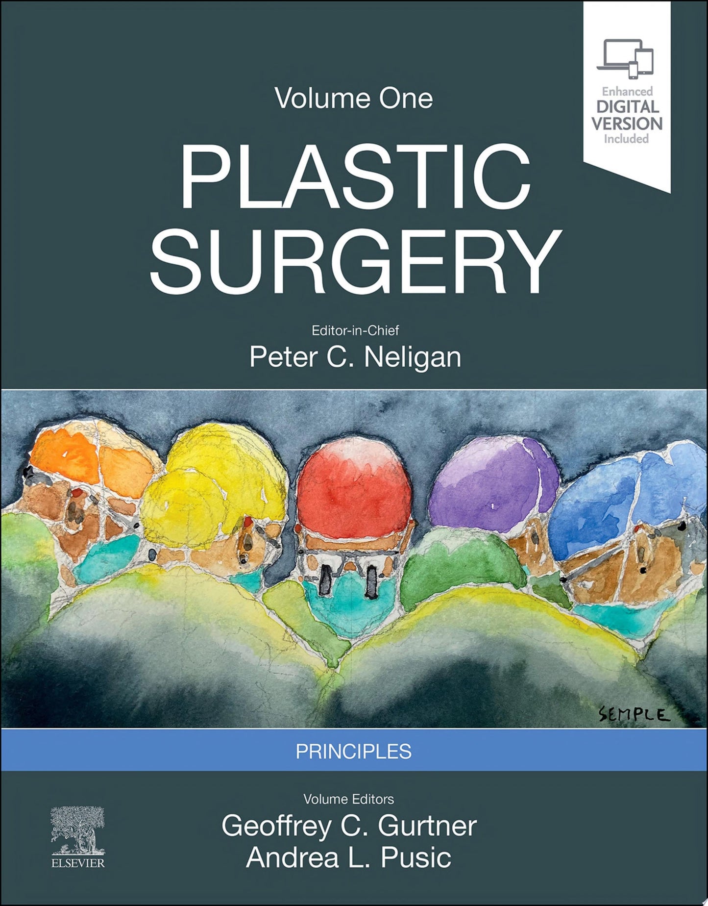 Plastic Surgery: Volume 1: Principles 5th Edition